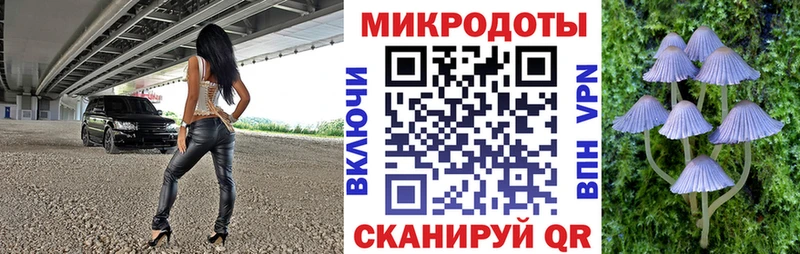 продажа наркотиков  Мамадыш  Галлюциногенные грибы прущие грибы 